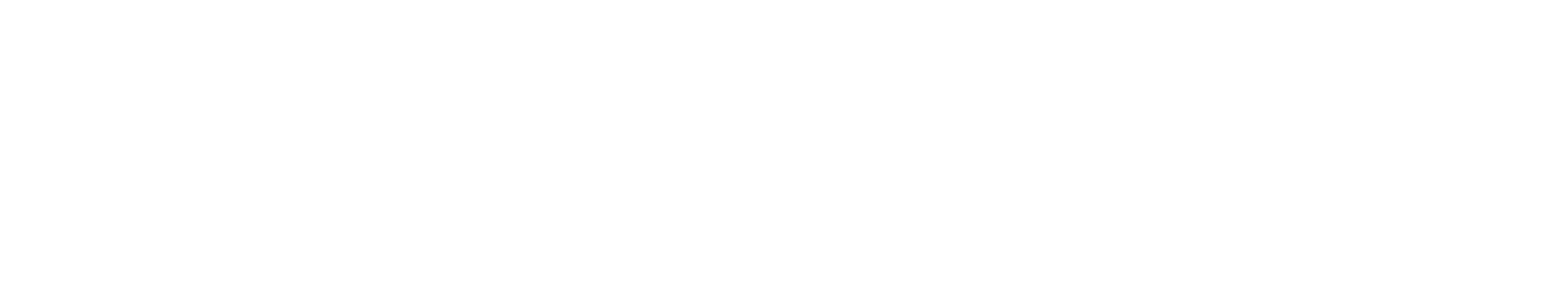 Holovast